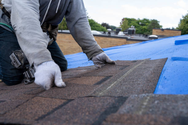 Best Residential Roofing Contractor  in Pine Prairie, LA