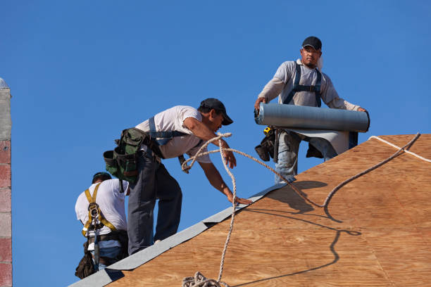 Best Residential Roof Replacement  in Pine Prairie, LA