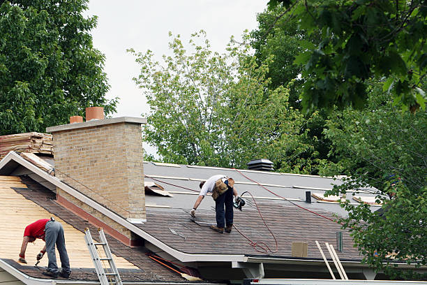 Best Gutter Installation and Roofing  in Pine Prairie, LA