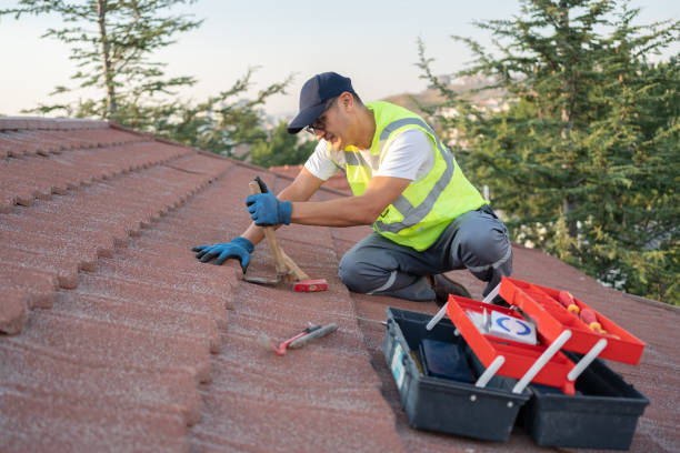 Gutter Installation and Roofing in Pine Prairie, LA
