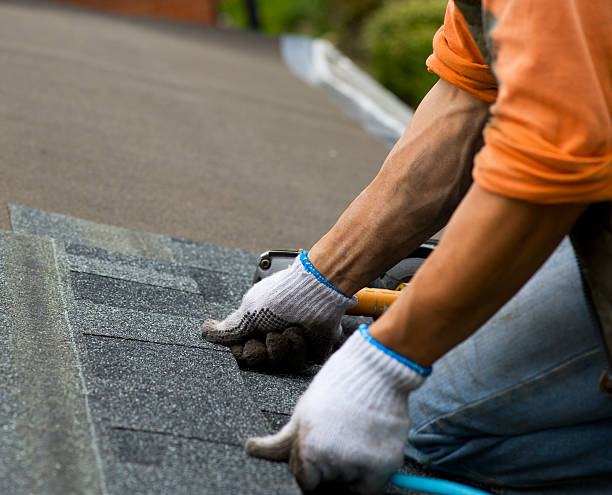 Best Roof Repair Services  in Pine Prairie, LA