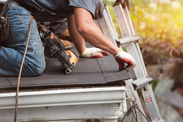 Roof Waterproofing Services in Pine Prairie, LA