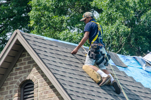 Best Roof Gutter Cleaning  in Pine Prairie, LA